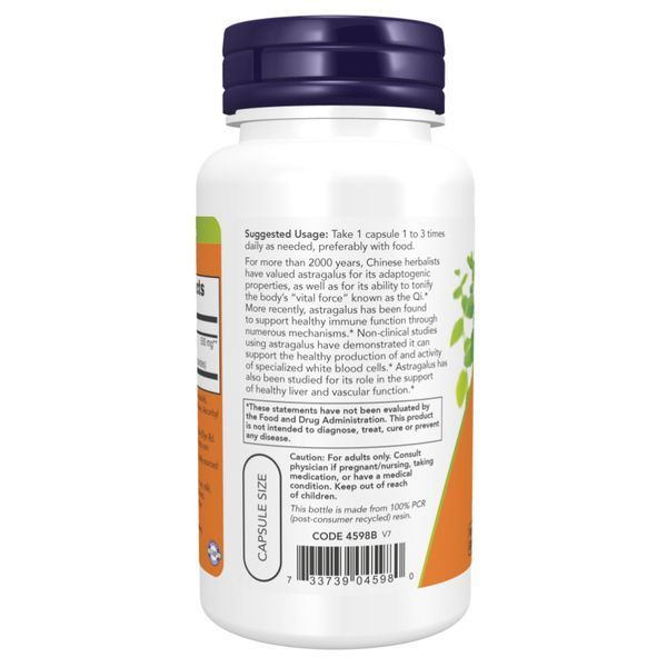 Astragalus Extract 500mg - 90vcaps dsn_5259 фото
