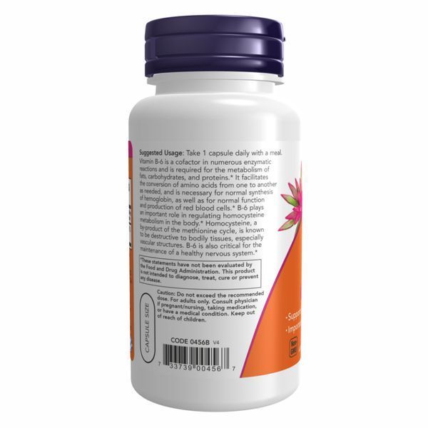 B-6 100mg - 250 vcaps dsn_25682 фото
