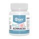 Stark Echinacea 70 mg - 100tab dsn_12726 фото 1