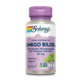 Гинкго билоба, Ginkgo Biloba Leaf Extract, Solaray, 60 мг, 60 вегетарианских капсул dsn_26878 фото