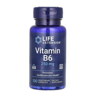 Vitamin B6 250 mg - 100 vcaps dsn_30094 фото