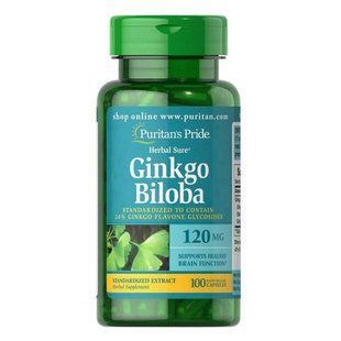 Ginkgo Biloba Standardized Extract 120mg - 100caps dsn_10897 фото