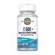 C 500 + Rose Hips & Bioflavonioids Sustained Release - 100 tabs dsn_29613 фото 1