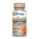Кордіцепс, Cordyceps Mushroom Extract 500mg - 60 vcaps dsn_26590 фото 1