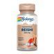 Reishi Mushroom 600mg - 100ct dsn_26587 фото 1