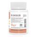 Ginger - 60 caps Stark Pharm dsn_29286 фото 2