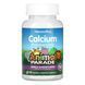 Kids Calcium Chewable Sugarfree - 90 tabs dsn_25215 фото 1