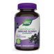 Sambucus Immune Support - 60 gummies dsn_23618 фото 1