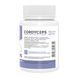Cordyceps 500mg - 60 caps Stark Pharm dsn_29225 фото 2