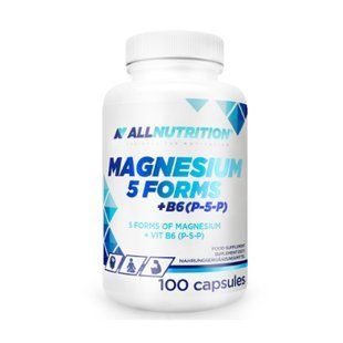 MAGNESIUM 5 FORMS + B6(P-5-P) - 100 caps dsn_15393 фото