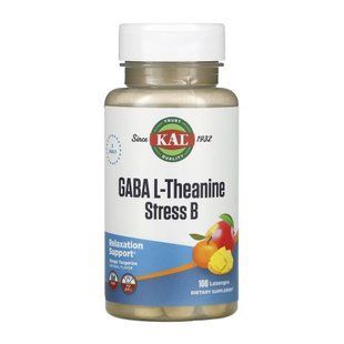GABA L-Theanine Stress B - 100 lozenges dsn_30154 фото