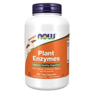 Plant Enzymes - 240 vcaps dsn_24698 фото