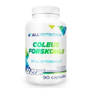 Coleus Forskohlii - 90caps dsn_14503 фото