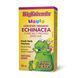 Ехінацея Natural Factors BigFriends Echinacea Alcohol-Free Fresh Herb Tincture for Kids 50 ml dsn_31740 фото 1