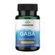 Gaba 250mg - 60 caps dsn_30967 фото 1