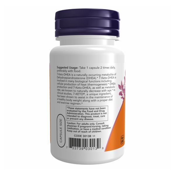7-KETO (Дегідроепіандростерон) Now Foods 100 мг 60 Вегетаріанських Капсул dsn_25605 фото